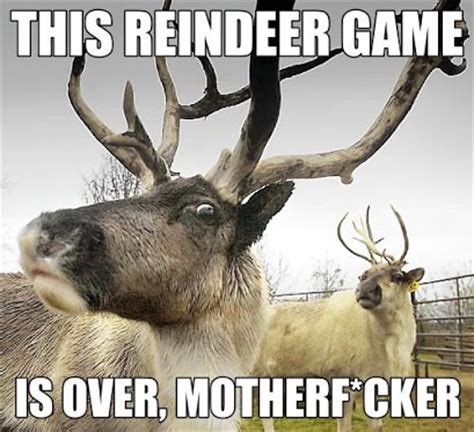 baby reindeer memes|baby reindeer memes funny.